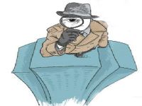 二道区取证公司解说第三者承担离婚赔偿责任吗